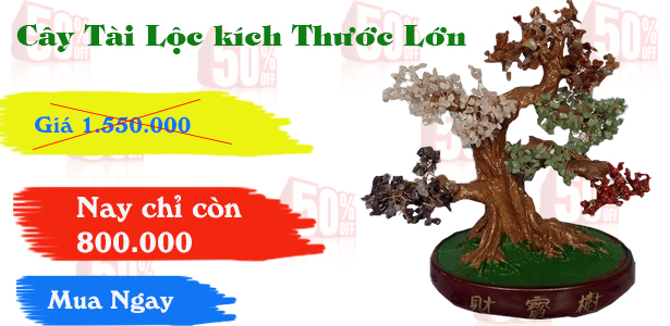 19701_1552299192_cay_tai_loc_giam_50